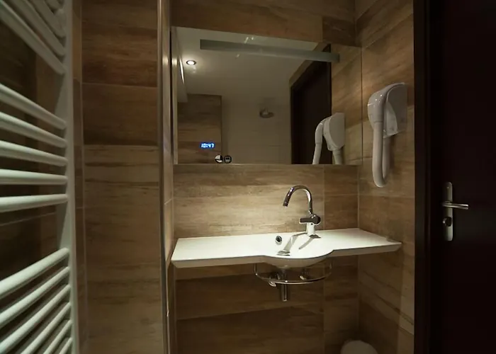 Central Hotel ホテル 3*